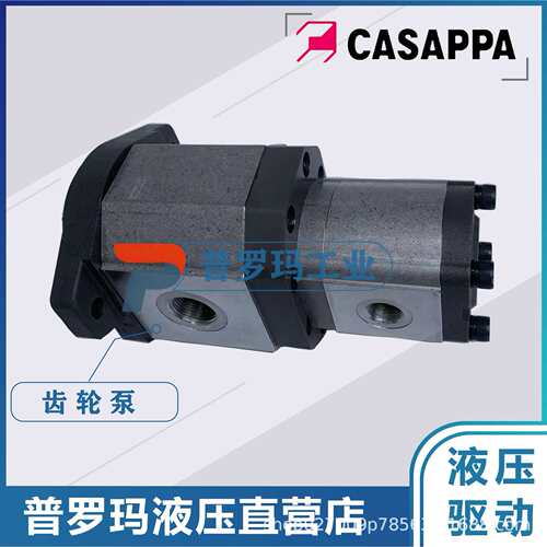 凯斯帕双联齿轮泵PLP30.43-04S5-LOG/OF/20.16-LOD/OC D/FSL油泵