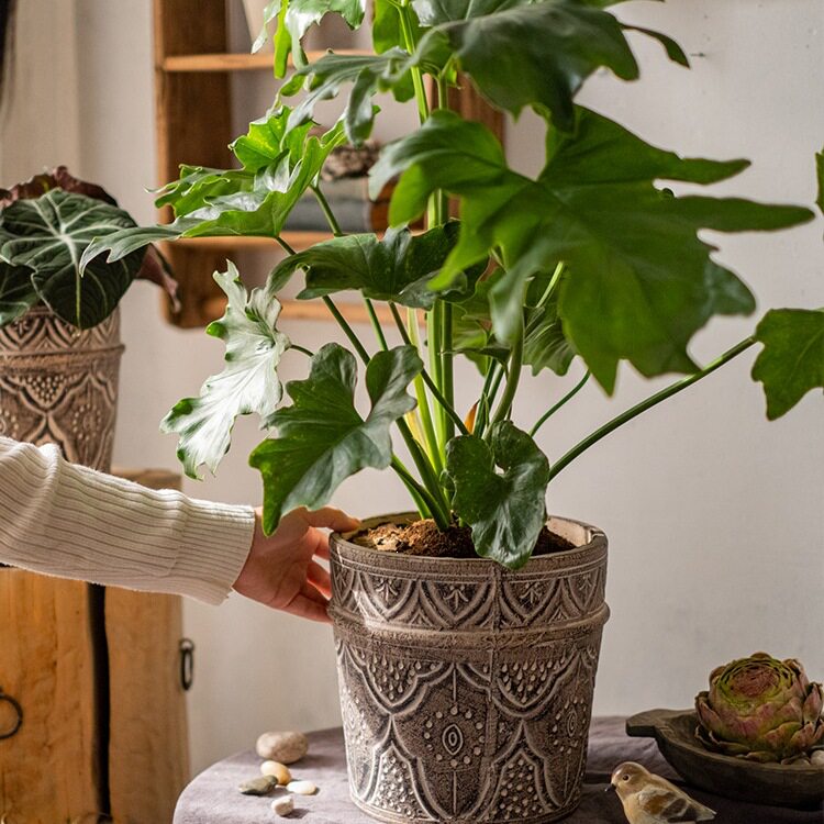 经典元素红陶花盆花器透气土培绿植种植插花阳台花园艺术花瓶