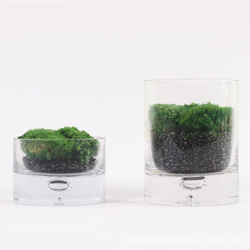 现代简约绿植仿真植物永生苔藓装饰样板间浴室玄光茶几新中式摆件