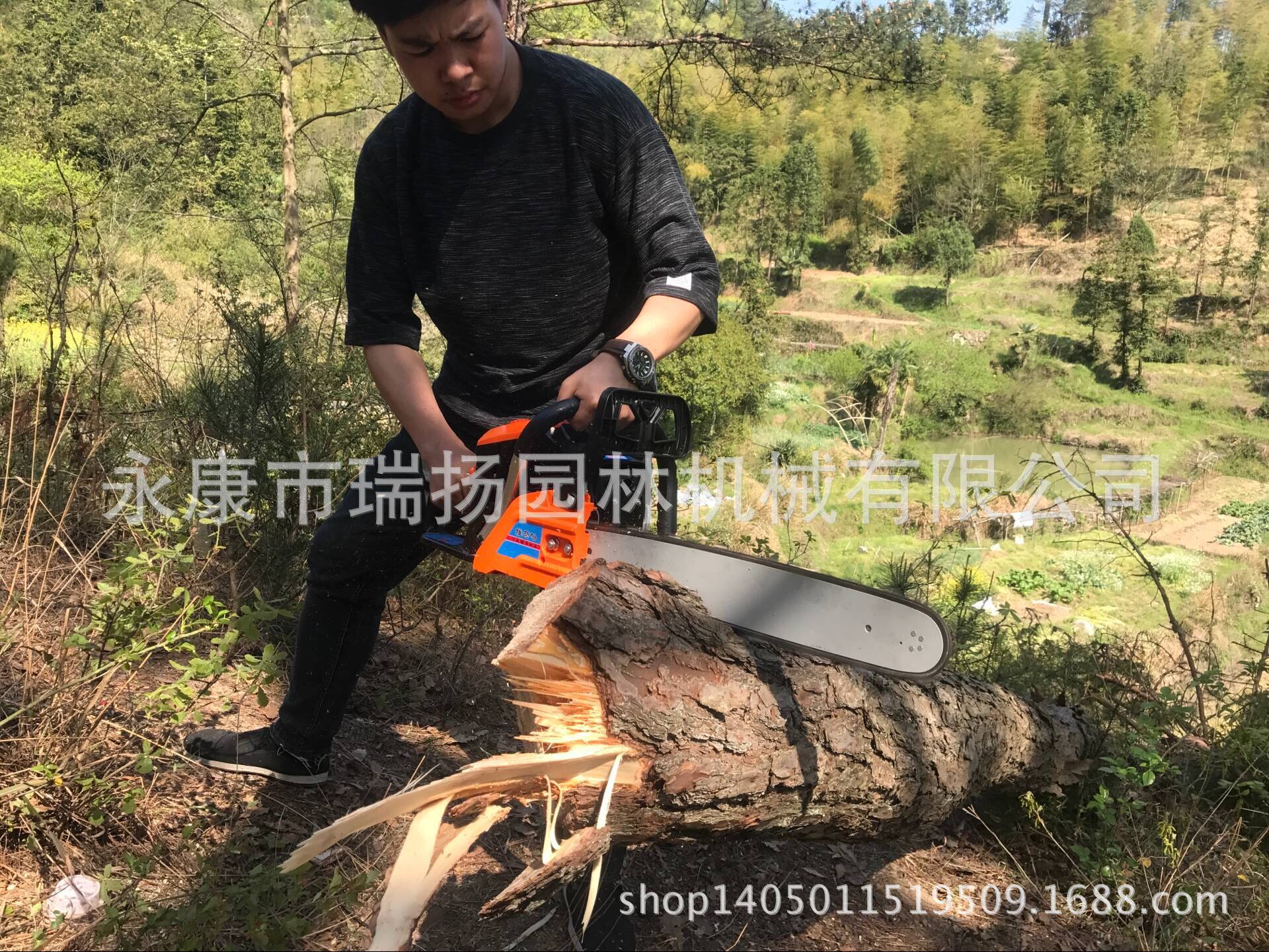 供应5900 油锯,汽油锯,高品质园林机械,动力质保一年