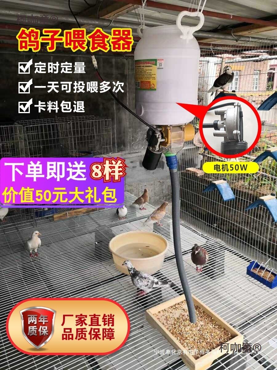 鸽子用品自动喂食器定时定量投食器喂料机信鸽观赏鸽鸡鸭鹅麦太保