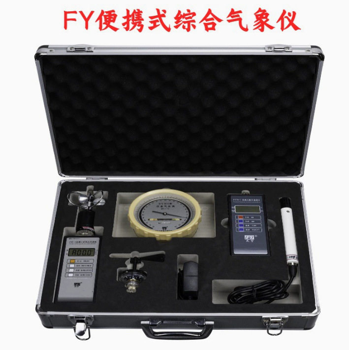 FY-A便携式综合气象仪/便携式数字温湿表/综合手持式气象站