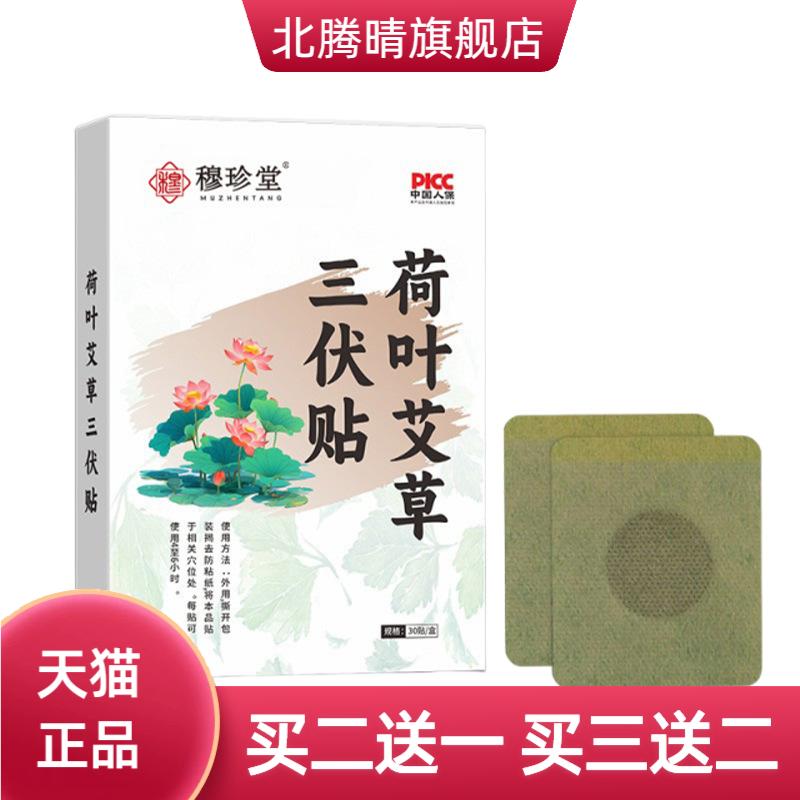 荷叶艾草三伏贴艾草贴三伏透气