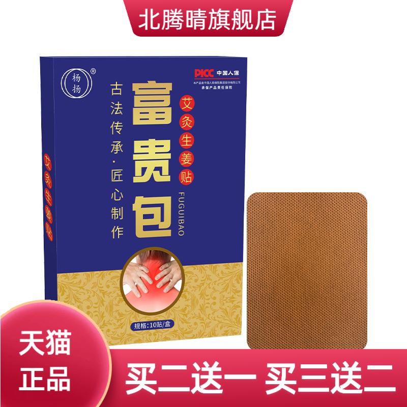 艾灸生姜贴艾草热敷贴肚脐穴位贴