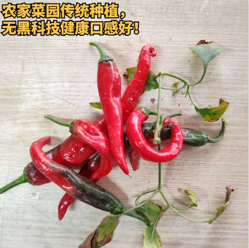 农家鲜红辣椒小辣椒炒菜泡菜腌菜无黑科技现摘现发新鲜健康口感好