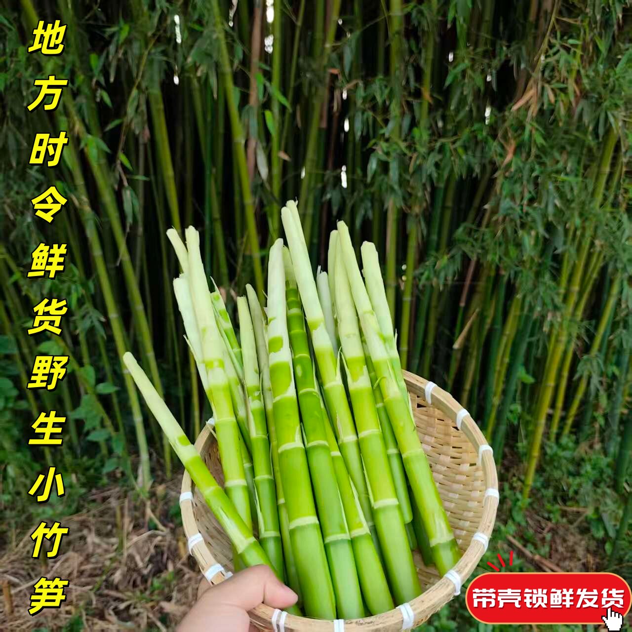 新鲜小竹笋带壳小春笋新鲜绿竹笋水笋山地田间自然生长鲜嫩爽口