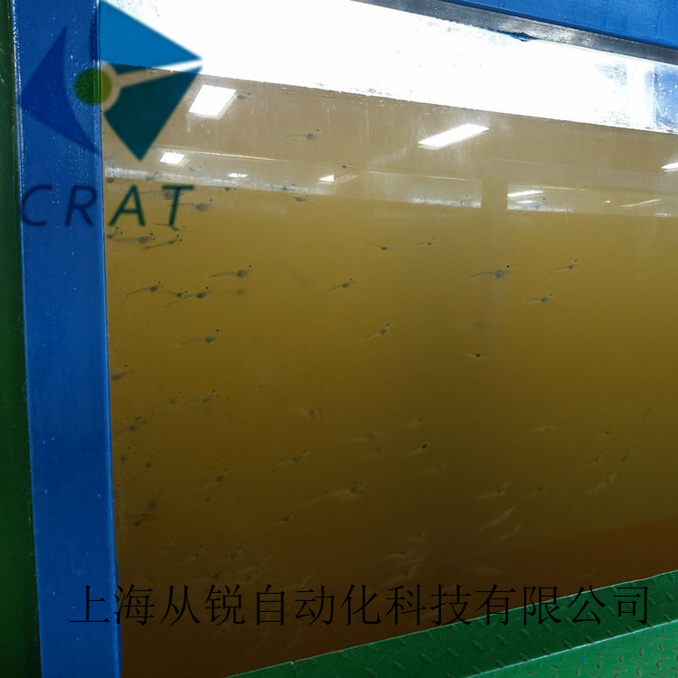 上海从锐虾池恒温系统设计与设备提供/经济型循环水养虾系统