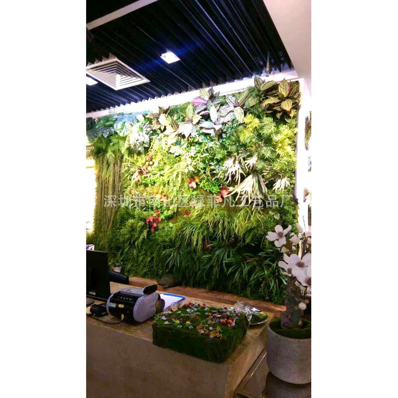 厂家供应植物墙 室内绿化墙 园林绿化绿植墙植物墙橱窗苔藓
