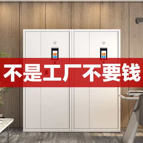 人脸识别智能电子保密柜密码锁文件柜铁皮储物柜资料档案寄存柜子