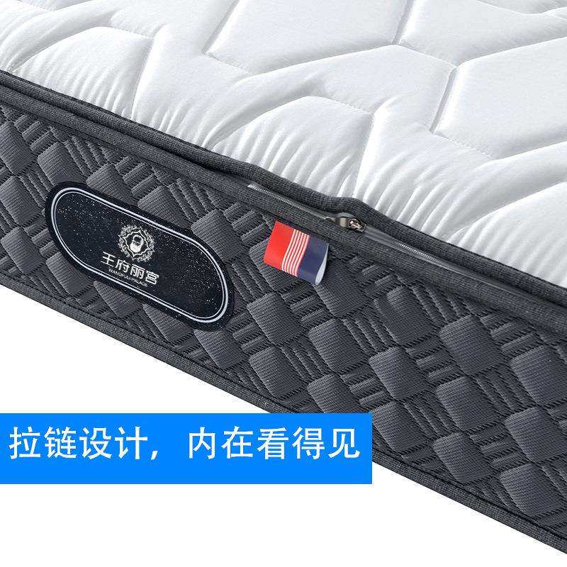 3d床垫可拆卸可水洗1.8m加厚软硬两面用6D席梦思家用透气乳胶床垫