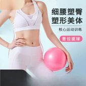 瑜伽普拉提小球加厚防爆健身25m小球麦管球儿童感统训练球
