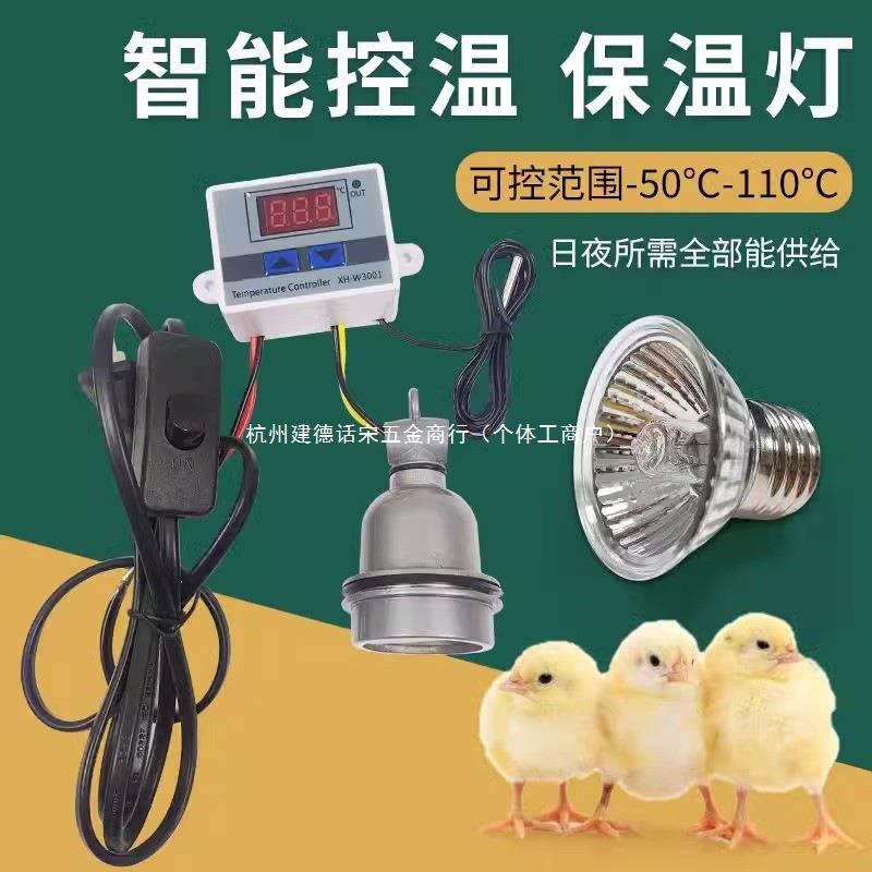 智能温控器保温取暖灯芦丁鸡加热育雏鸟保暖灯恒温养殖专用加热灯