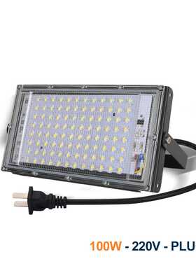 100W96珠珠点款LED投光灯AC220V插头款IP65户外防水直供IP65防水