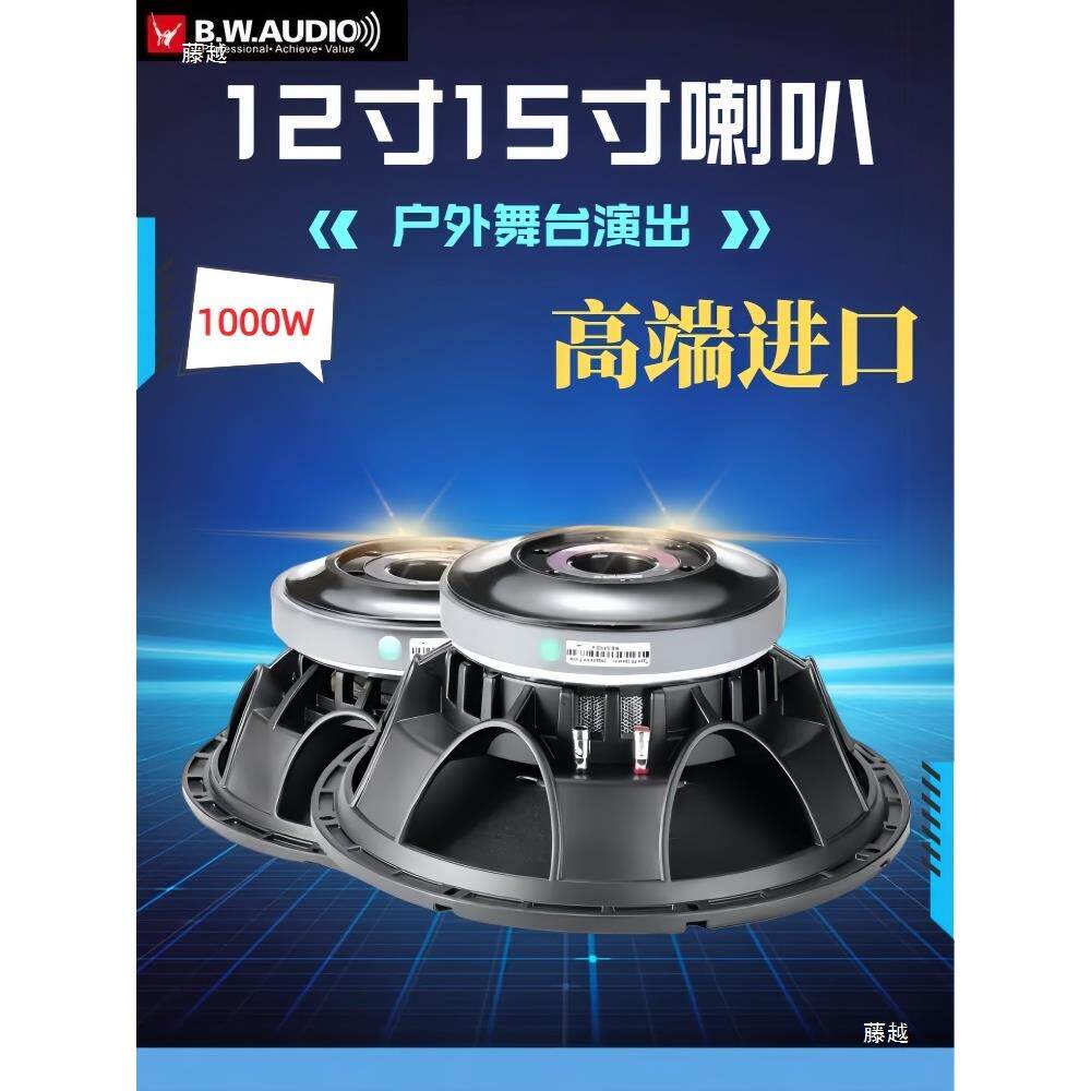 15寸220磁100芯1000瓦大功率户外演出全频音箱重低音喇叭