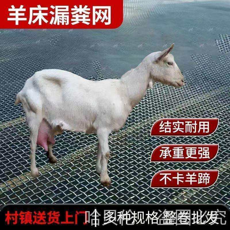 鹅漏地板热镀锌养殖网鸡鸭育肥羊床漏床漏网粪钢丝粪底网羊床粪网
