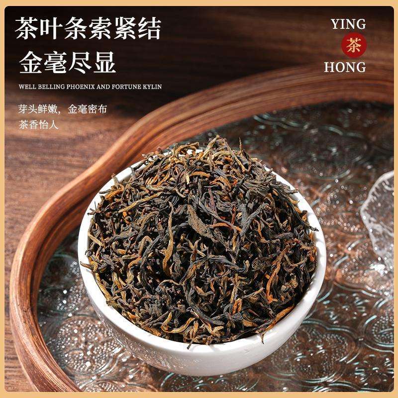 英红九号广东英德红茶古树红茶 雨前茶高香红茶2025新茶罐装500g