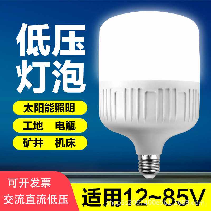 12vled低压灯摆摊灯夜市灯电动车电瓶灯24V36V48V60V90V直流球泡