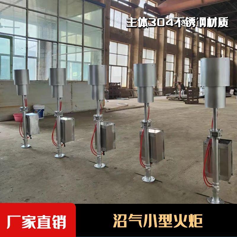 沼气燃烧火炬 小型外然火炬 沼气集中处理内燃火炬