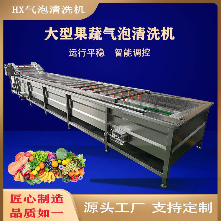 大型全自动果蔬气泡清洗机洗菜机商用气泡水果蔬菜去农残流水线