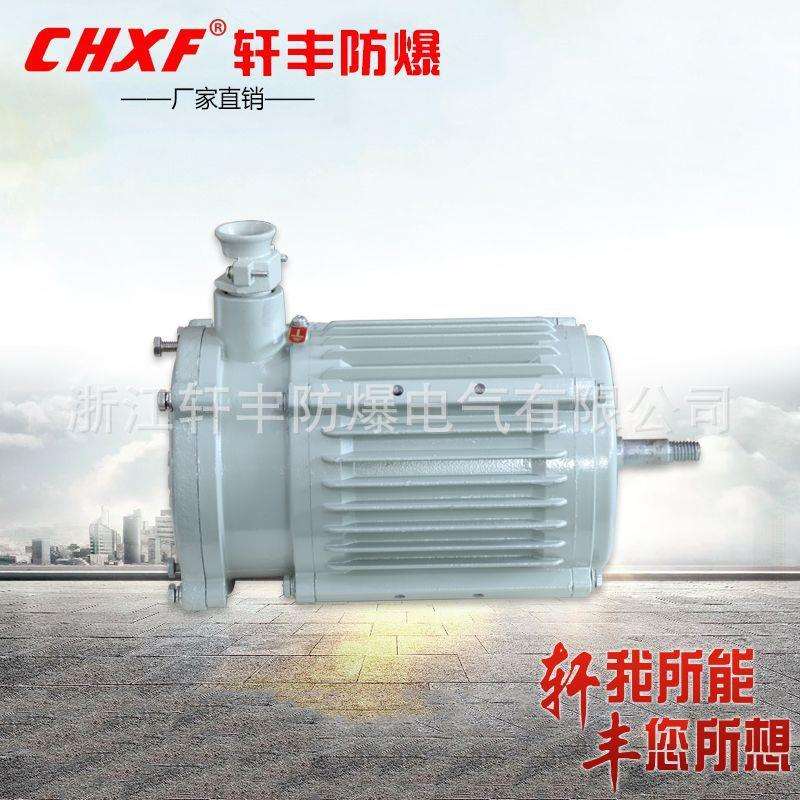 厂家直供 防爆电机220V 隔爆型单相异步电动机 IIB/IICT4