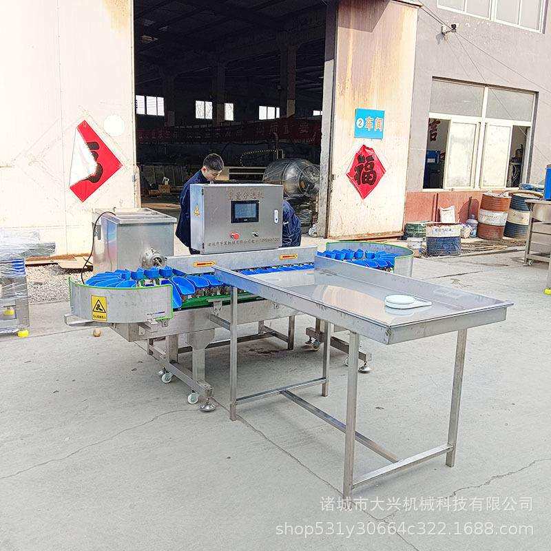 生蚝梭子蟹全自动分拣机鱿鱼鲅鱼重量分选机螃蟹毛蟹水产品分选机