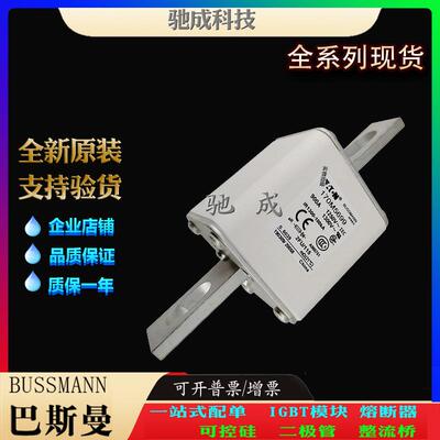 巴斯曼170M5618 170M5644 170M5645 长期销售价优 高速熔断器