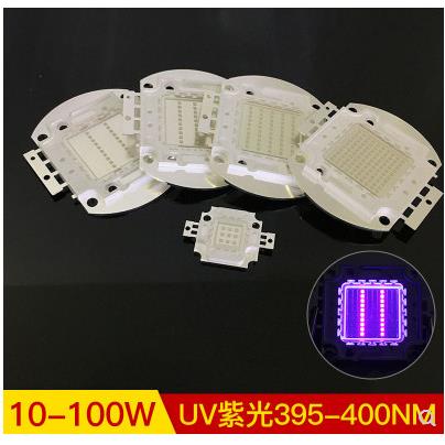 大功率集成灯珠 50W紫光uv led灯珠 395-400-410-420nm紫光灯珠