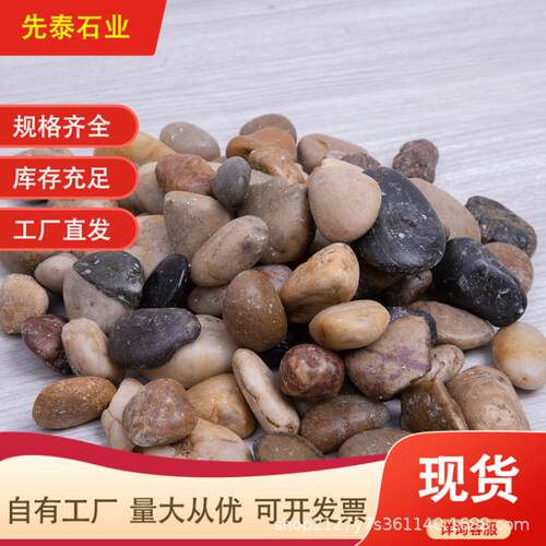 厂家五彩精抛鹅卵石雨花石五彩石小石子花卉鱼缸园林铺路石