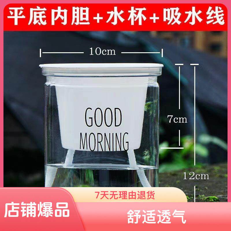 水培花瓶塑料花盆自动吸水懒人花盆早安浇灌可栽绿植盆栽多肉透明
