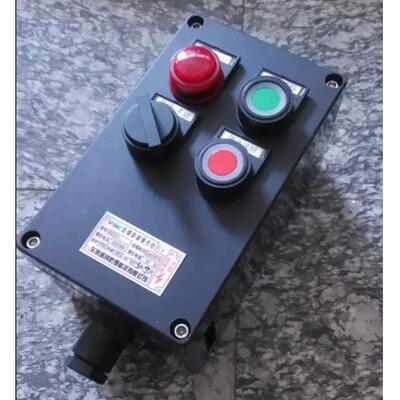 BZC8050 K1B1 A2D2防爆防腐操作柱LCZ8030 BEC56 BZC8060 FZC-S-