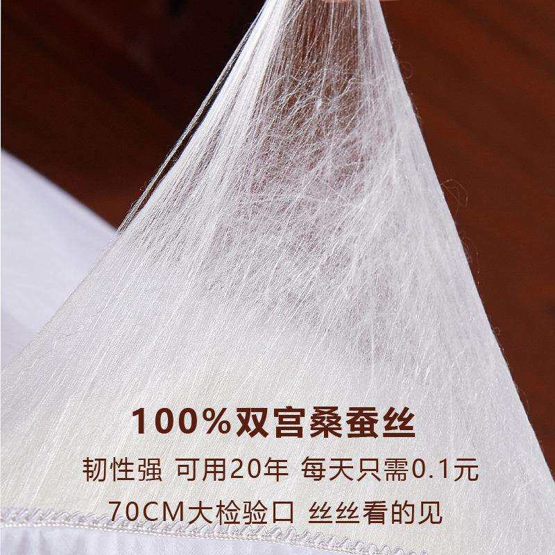 桐乡纯手工蚕丝被双宫桑蚕丝被芯单人双人被蝉丝被春秋被