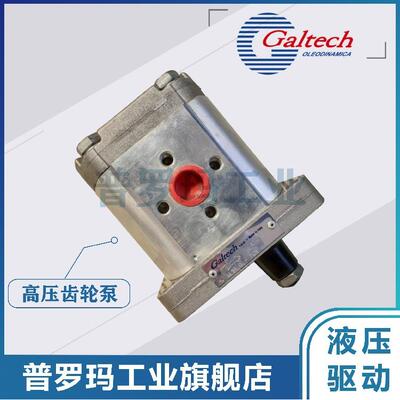 意大利GALTECH齿轮泵3GP-G-370-SAEB-OR 1SM 2SM 3GM 液压油泵