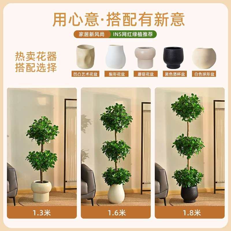 仿真绿植大型金钱榕摇钱树发财树大型盆栽植物客厅办公室观叶绿植