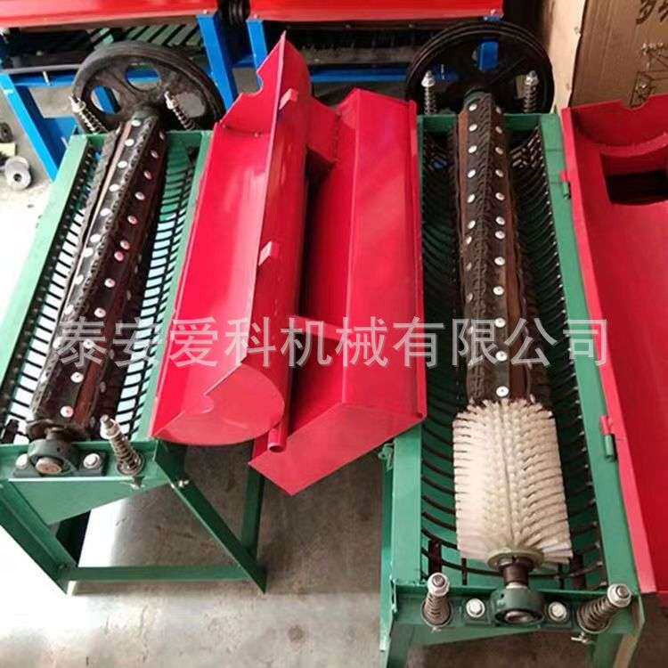 核桃去青皮机带清洗一体机家用两相电动核桃剥皮机去皮机