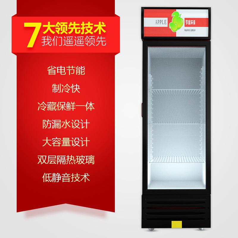 饮料冷藏展示柜商用立式单门双开门啤酒冰柜超市冰箱水果保鲜柜