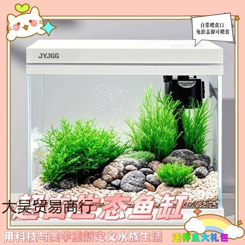 水族箱金晶超白玻璃生态鱼缸高清一体式带盖直角办公家用桌面