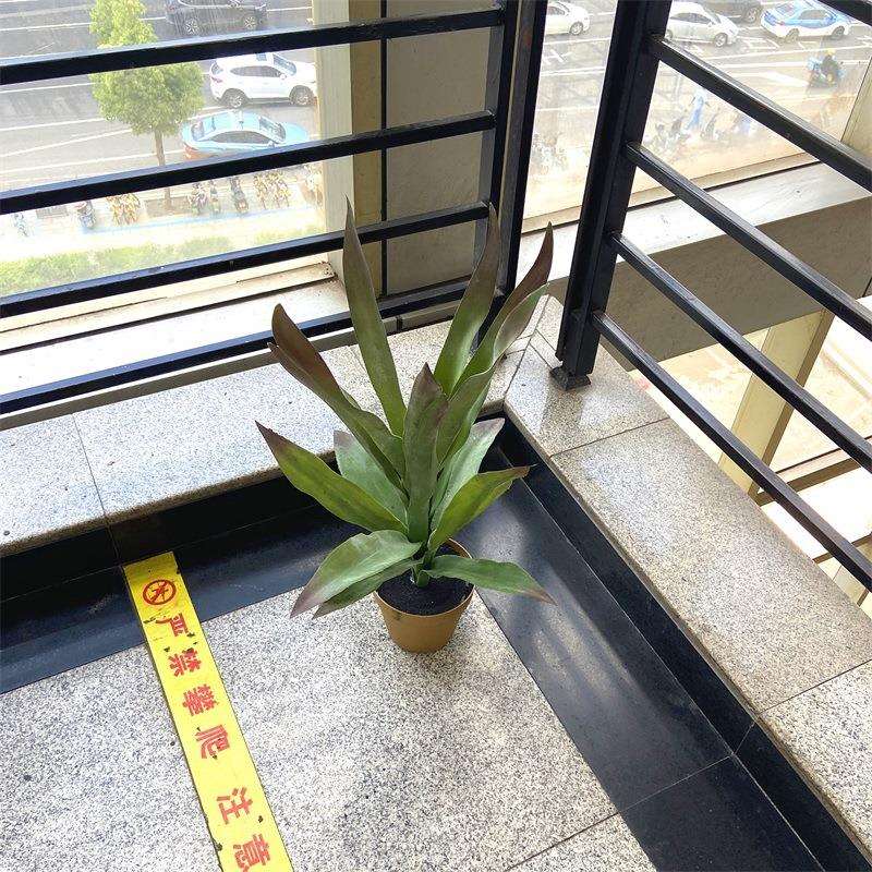 北欧仿真盆栽多肉类植物龙舌兰铁景观酒店软装民宿装饰叶盆景摆件