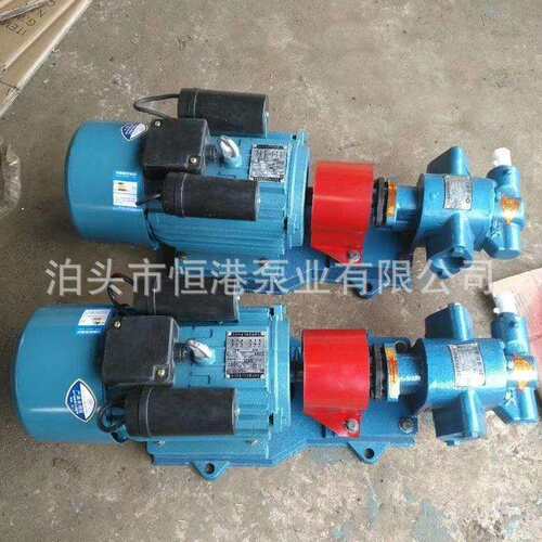 KCB55 KCB83.3 KCB200 KCB300齿轮泵 不锈钢齿轮泵厂家供应