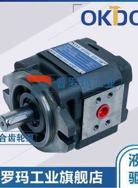 NTYS液压齿轮泵IPM2 3 4-13/16/20/25/32/40/50/63/80/125/100RPF