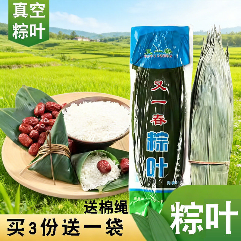 农家种叶新鲜大片大号送棉线新鲜粽子叶包粽子的叶子 棕叶大粽子