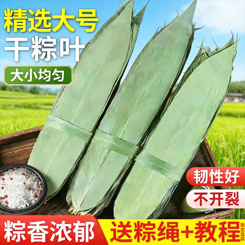 适用新鲜包粽子的竹叶子干粽叶商用批发材料粽子叶粽叶干大号棕叶图片