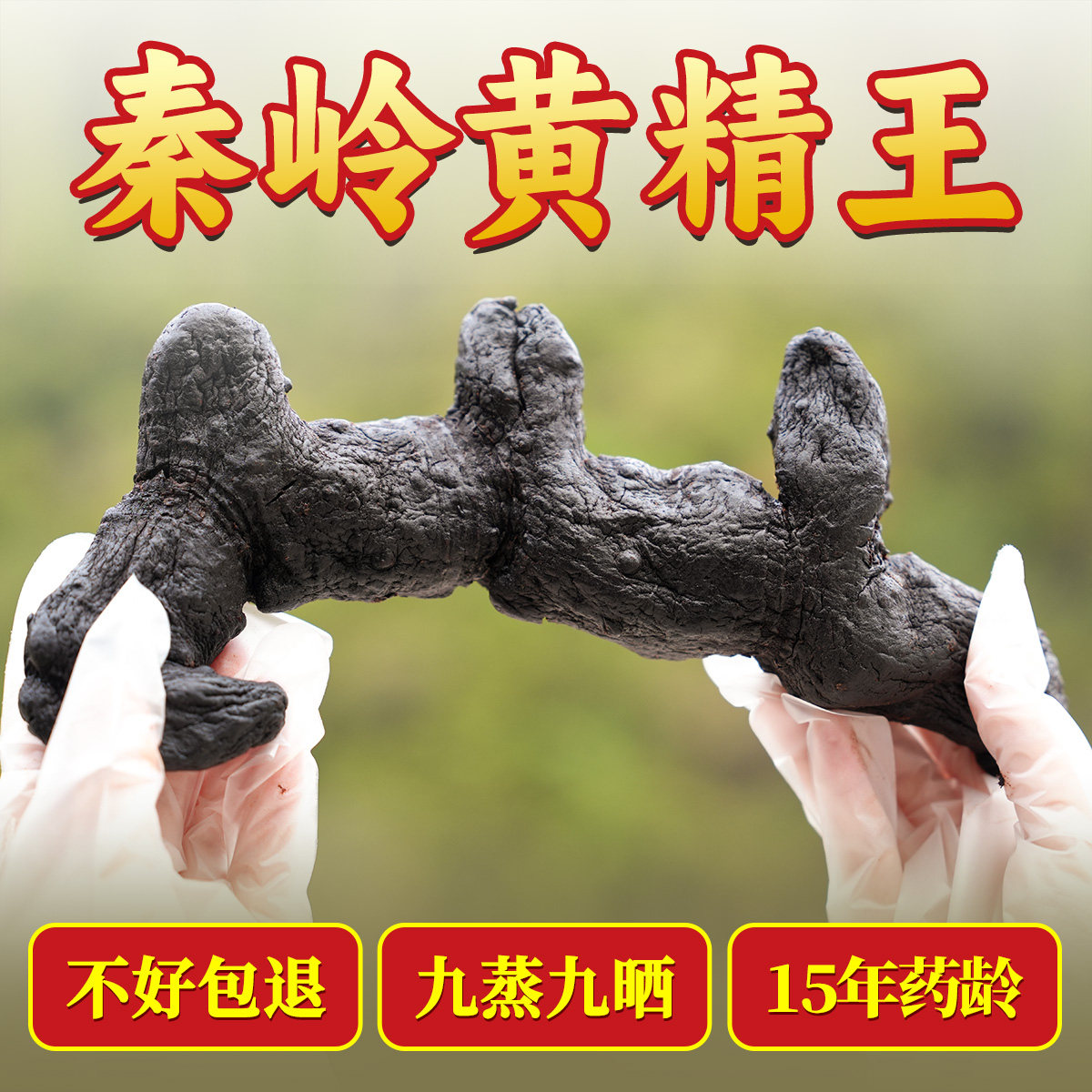 杨直二黄精九蒸九制官方旗舰店九晒黄精茶中药材即食秦岭黄精王