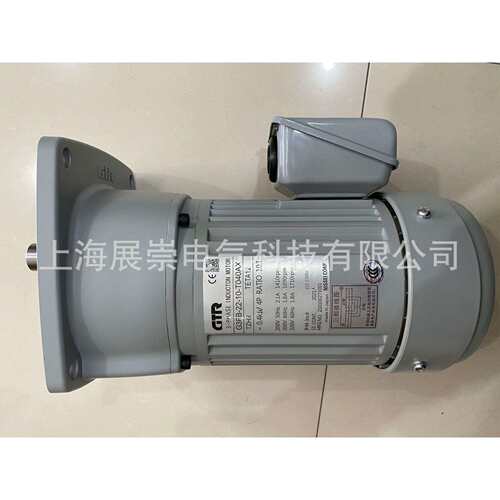 GTR电机 NISSEI日精马达 FSMN-30-80-T020WA FS30N80-CNB020TWCT