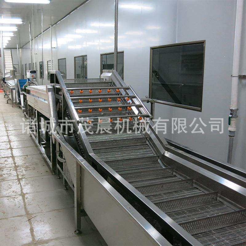 供应山东提升式果蔬清洗机 食堂餐厅用瓜果蔬菜清洗机 去农残