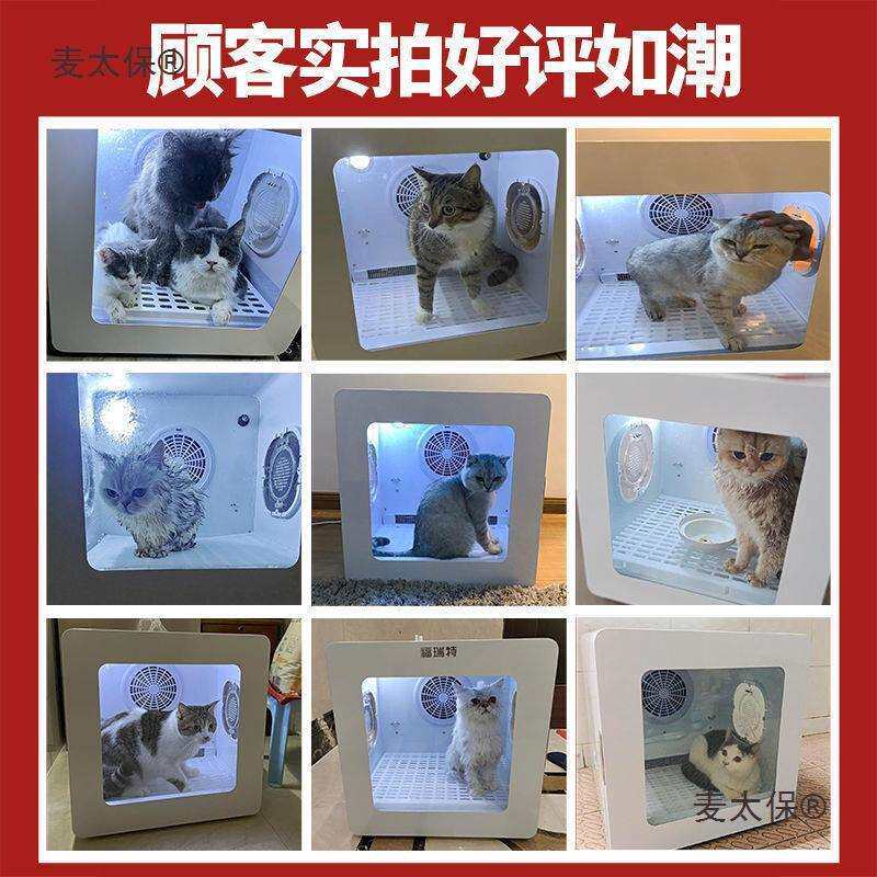 宠物烘干箱全自动猫咪风干箱小狗中型犬烘干机洗澡吹干吹水麦太保