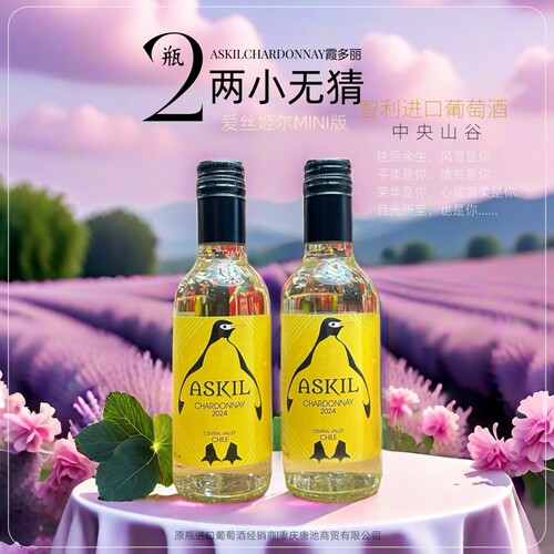 【两小无猜】中央山谷爱丝姬尔霞多丽干白MINI版智利进口小瓶2瓶