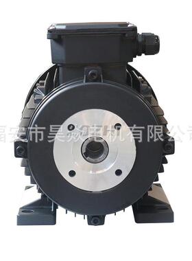 厂家直供1.5W三相内轴电机2HP高压清洗机电机90机座HS-90L1-4