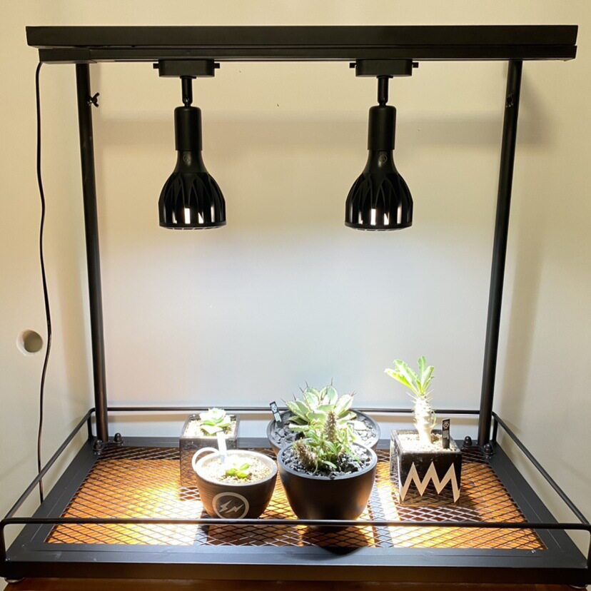 日式块根植物龟甲龙爬藤支架室内盆栽植物攀爬架绿植花架不含灯