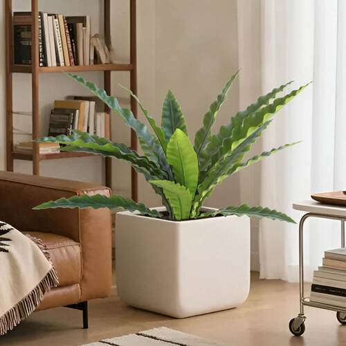 仿真鸟巢蕨 仿真人造植物造景装饰室内软装蕨类假绿植大叶盆栽