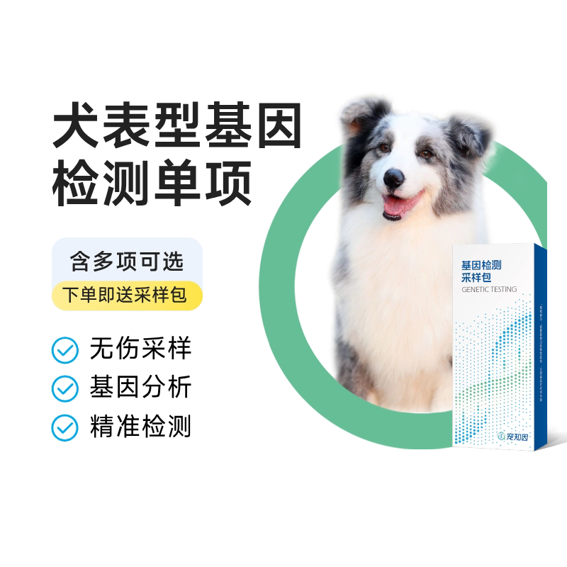 宠知因犬毛色基因检测单项